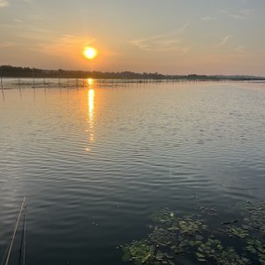 朱湖村私人鱼塘钓场