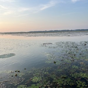 朱湖村私人鱼塘钓场