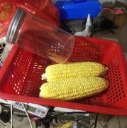 自制一款狂拉VB掛鉤玉米