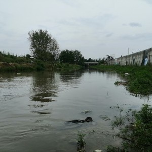 正山口河