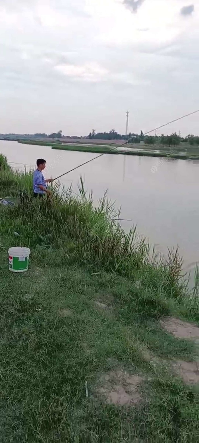 贾鲁河周庄段