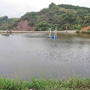 逍遥谷竞技垂钓园