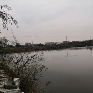 桥西村钓鱼场天气预报