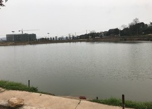 泉塘冲农庄天气预报