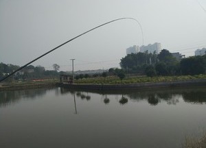 跳马镇水竹塘钓场天气预报