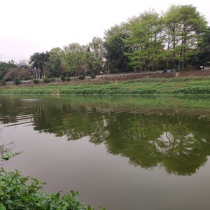 香山河