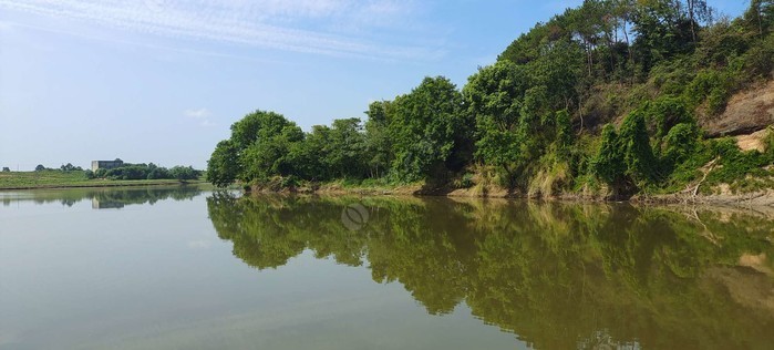 台田嘴野钓场