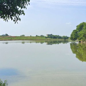 台田嘴野钓场