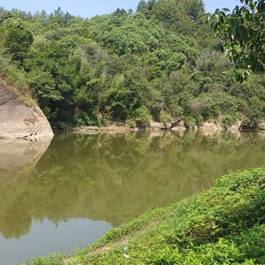 台田嘴野钓场