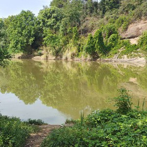 台田嘴野钓场