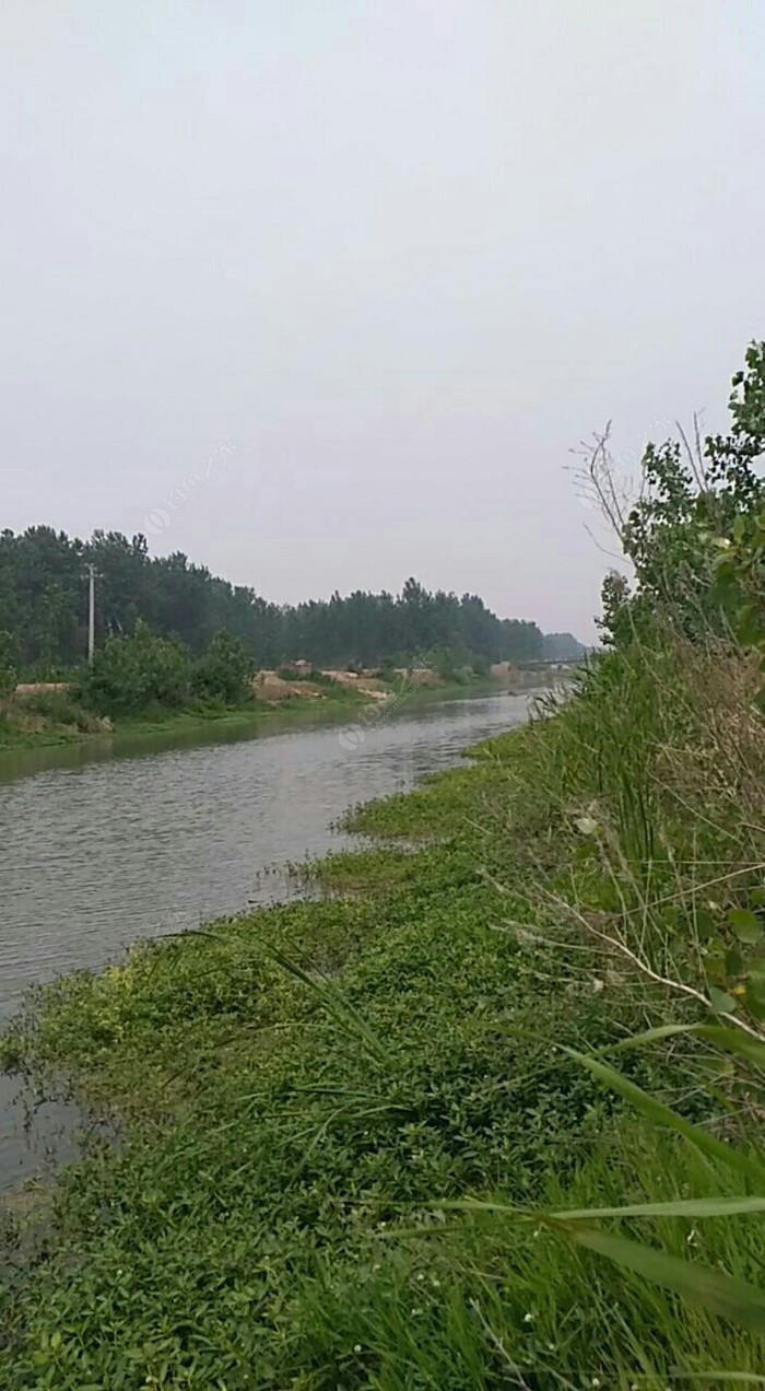高松河
