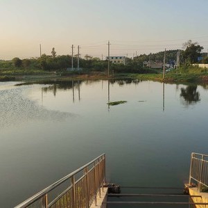 塘塘钓场天气预报