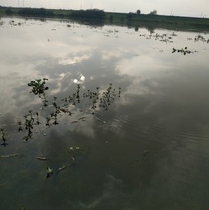 石垴水库