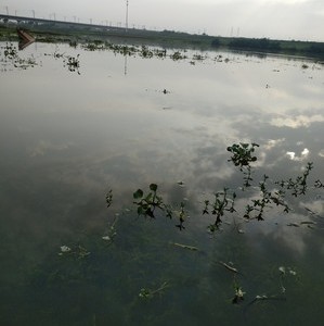 石垴水库