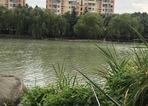 中塘河天气预报