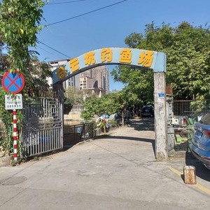 白云坑钓场