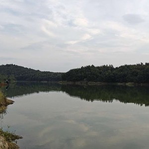 随县封江大河荡钓场天气预报