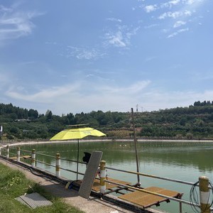 静逸湾青鱼鲢鳙钓场天气预报