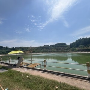 静逸湾青鱼鲢鳙钓场