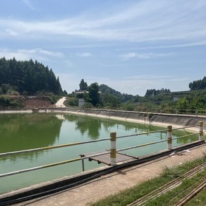 静逸湾青鱼鲢鳙钓场