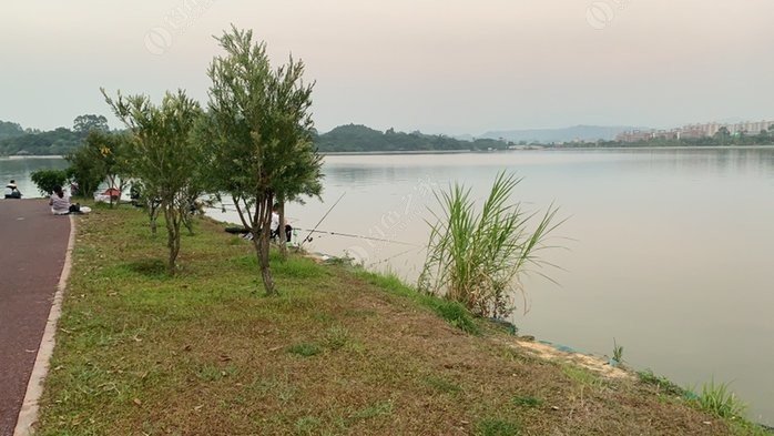 增城区挂绿湖明天开搞 钓鱼之家