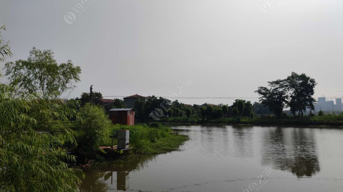 大鲍湾休闲垂钓园