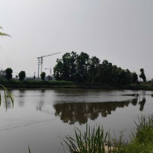 大鲍湾休闲垂钓园