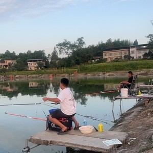 长岭鲢鳙大物钓场