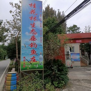 桂花林生态垂钓庄
