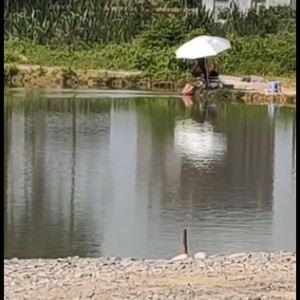 化州东方红钓鱼场（军田坡场）天气预报