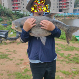 长城绿享钓鱼场