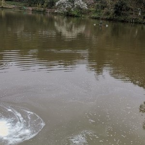 普雪淡水鱼养殖场天气预报