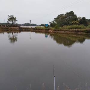 李基塘钓鱼场