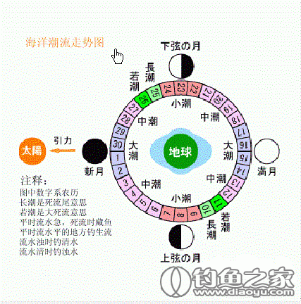 潮汐计算法