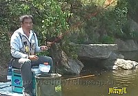 《程寧釣魚視頻》競技釣鯽魚教學視頻第16集