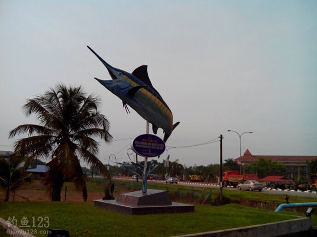 马来西亚不可不钓的旗鱼圣地