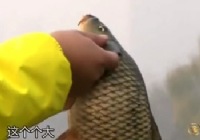 《就这样钓鱼》第39集 天津冬季钓鲤鱼的技巧