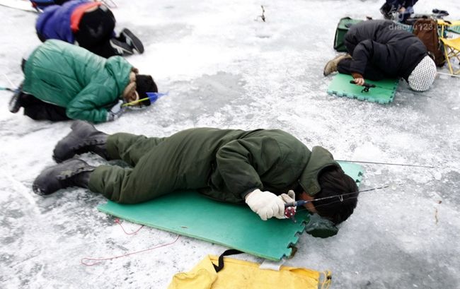 冰钓奇观:韩国鲑鱼冰钓节万人冰上垂钓