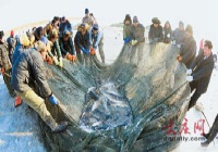 小河子渔场冬季捕鱼节盛大开幕