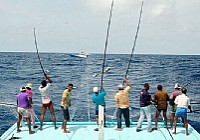 海竿抛竿钓法扬竿刺鱼的技巧