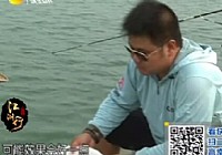 《江湖行钓鱼视频》54 江陵城寻巨青