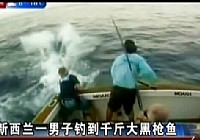 国外钓友海钓擒获千斤重大黑枪鱼