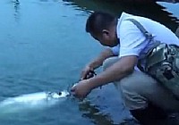 《路亚钓鱼视频》水库路亚16.8斤大巧嘴鱼