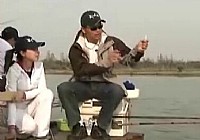 《垂钓对象鱼视频》邓刚主讲钓大鲫鱼的技巧和方法