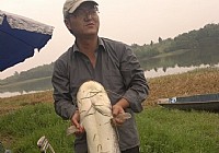 钓友在三岔湖用亮片路亚到27斤大鲶鱼