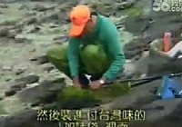 《海钓视频》第2集 台湾海钓教学视频