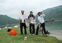 自制垂钓鲢鱼玉米粉混合饵料