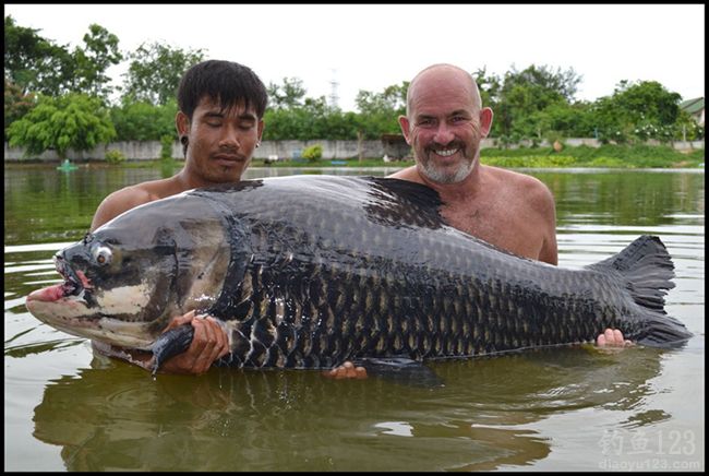 湄公河钓鱼