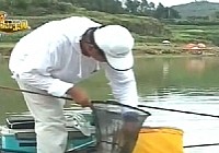 《程宁钓鱼视频》第122集 如何将抄网中的鱼入护
