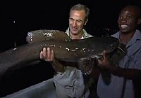 《極限釣魚》第三季 第1集 非洲贊比亞夜釣大魚
